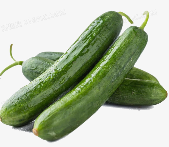CETRIOLI FRESCHI 11.85KG 老外黄瓜